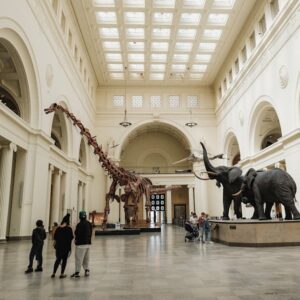 Chicago Field Museum